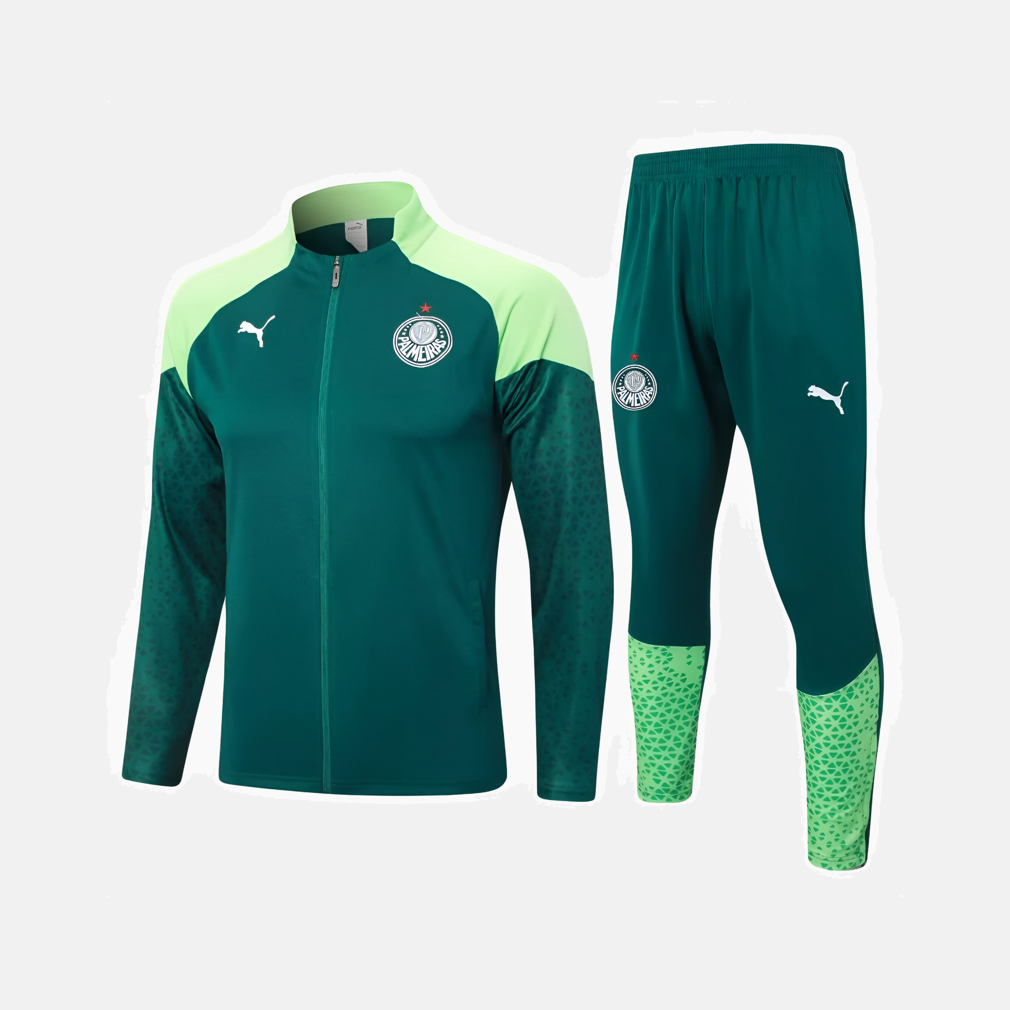 Conjunto de Treino Palmeiras 2024/25 I – Masculino