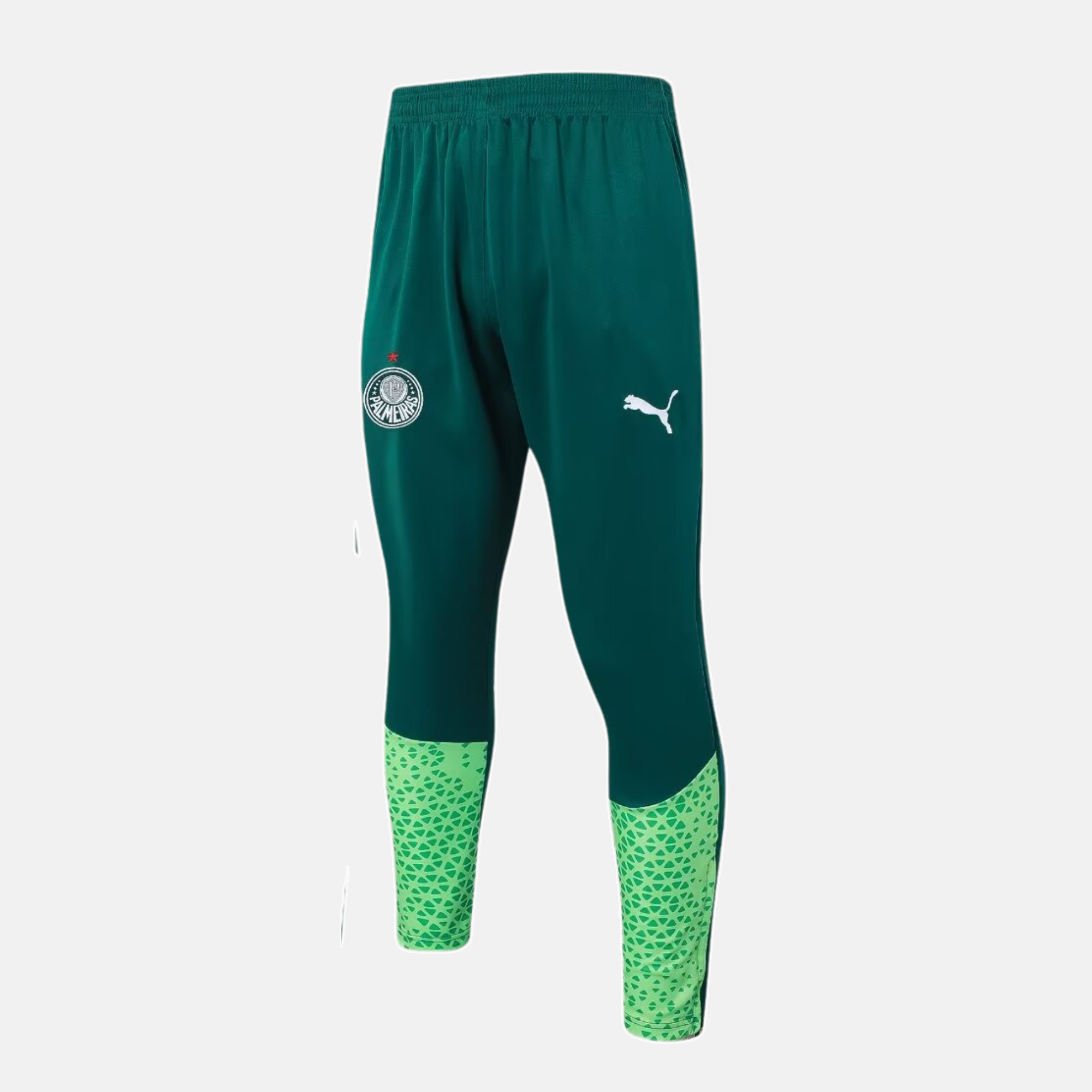 Conjunto de Treino Palmeiras 2024/25 I – Masculino