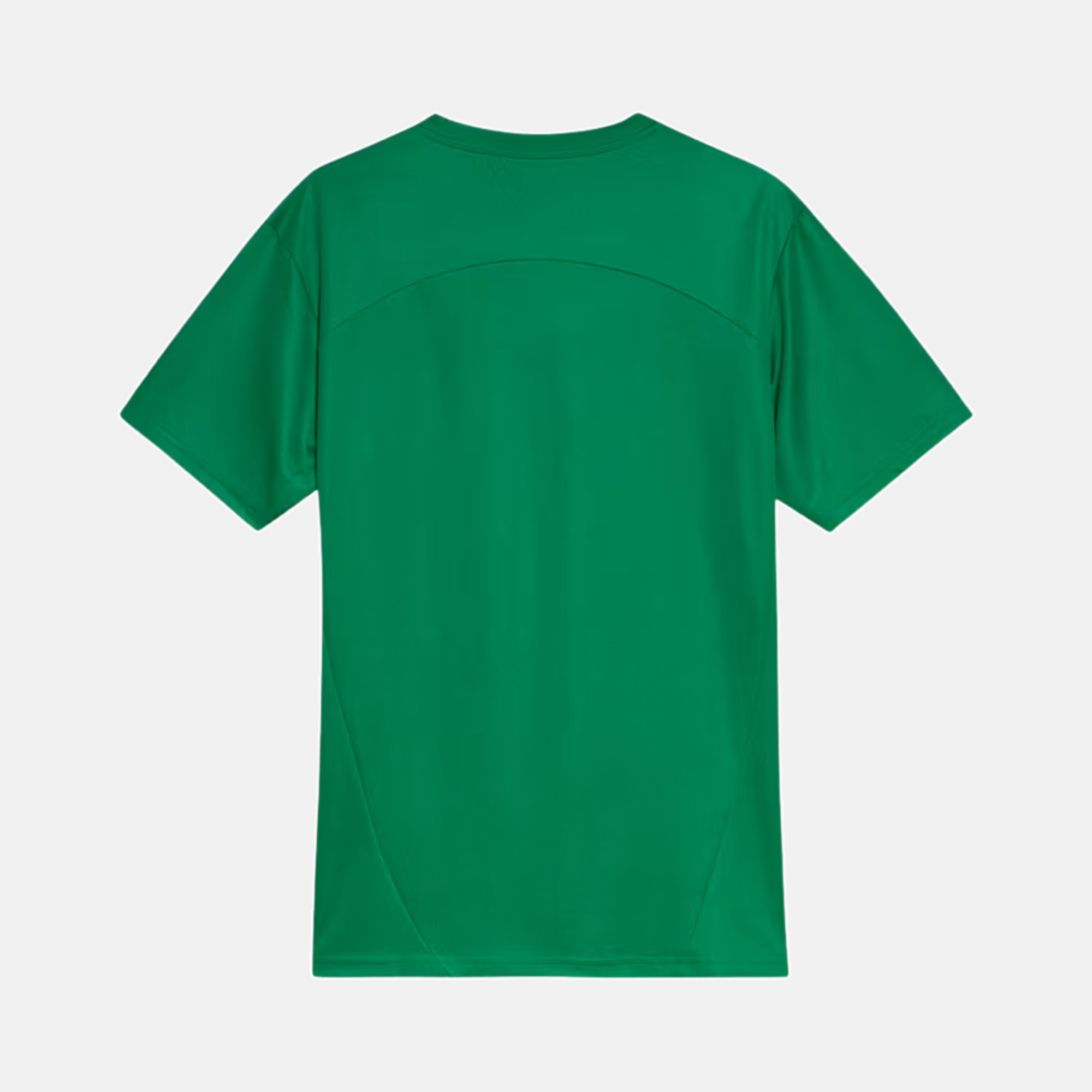 Camisa Palmeiras 2025 – Treino