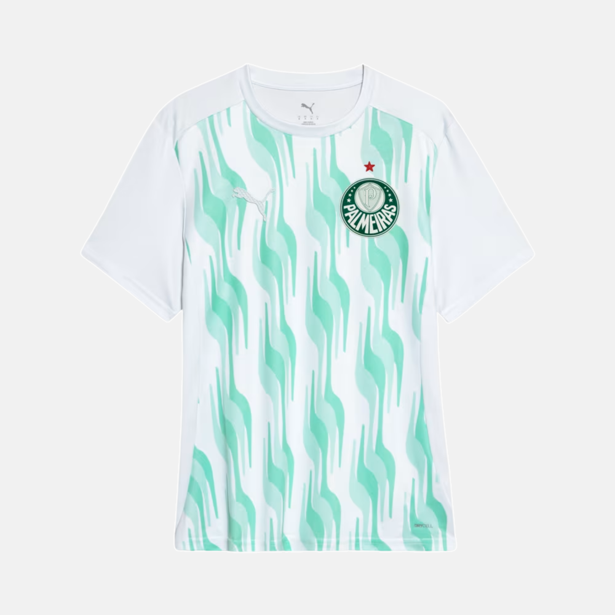 Camisa Puma Palmeiras 2025/26 Pré-Jogo