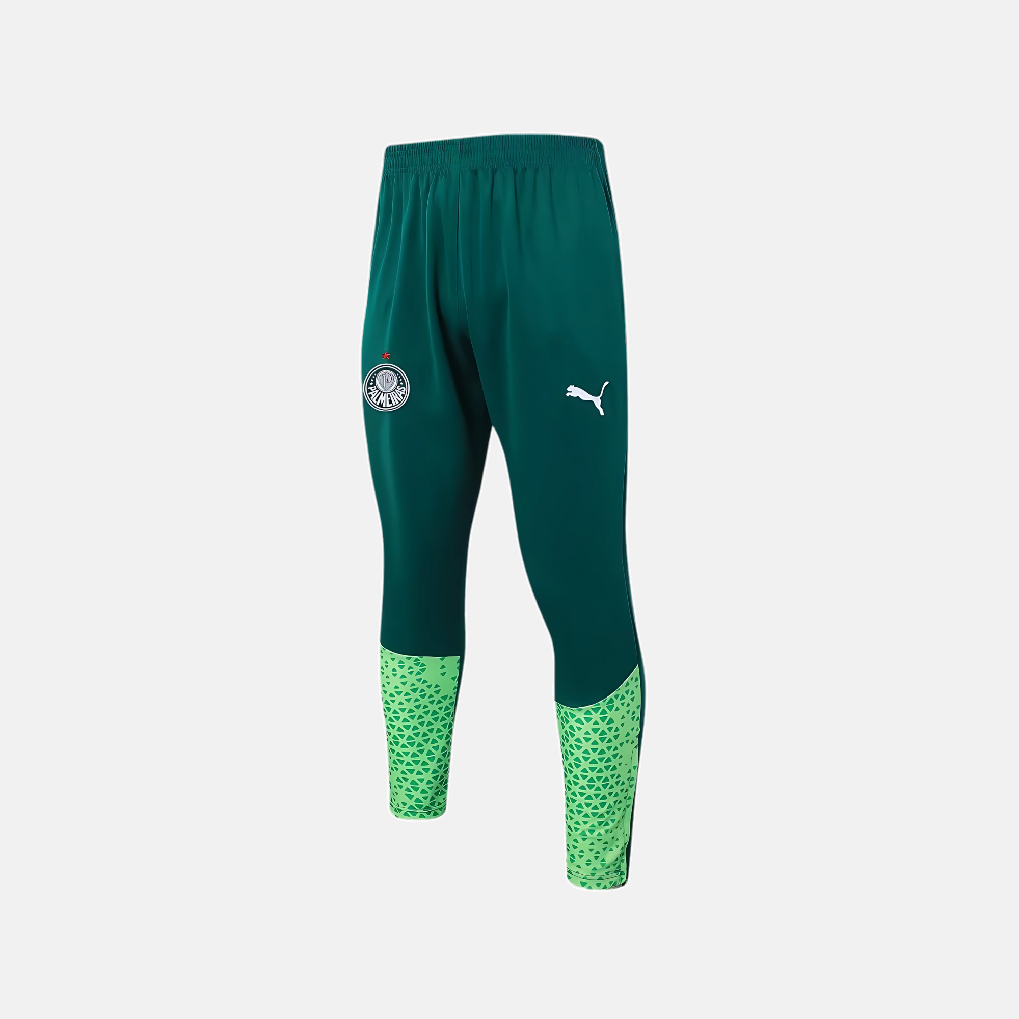 Conjunto de Treino Puma Palmeiras 2024/25 II – Masculino