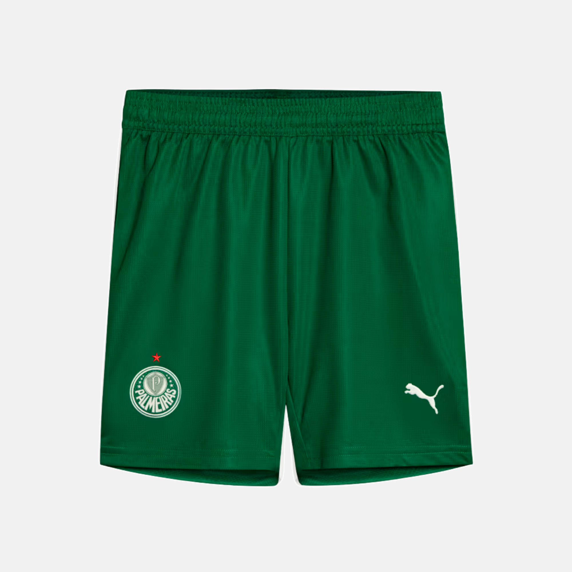Shorts Palmeiras 2025 II – Torcedor
