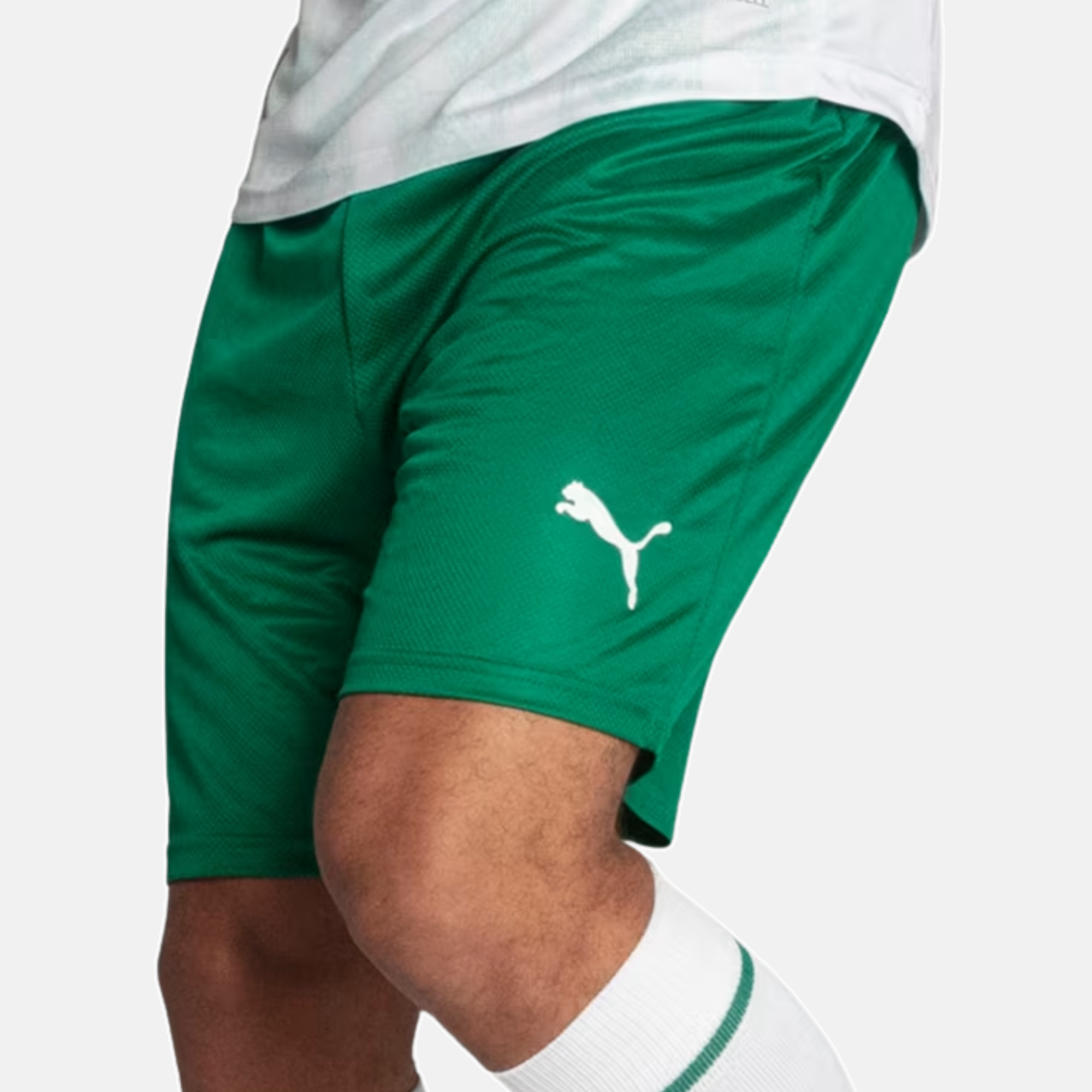 Shorts Palmeiras 2025 II – Torcedor