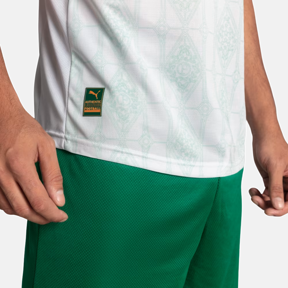 Camisa Puma Palmeiras 2025/26 II Jogador