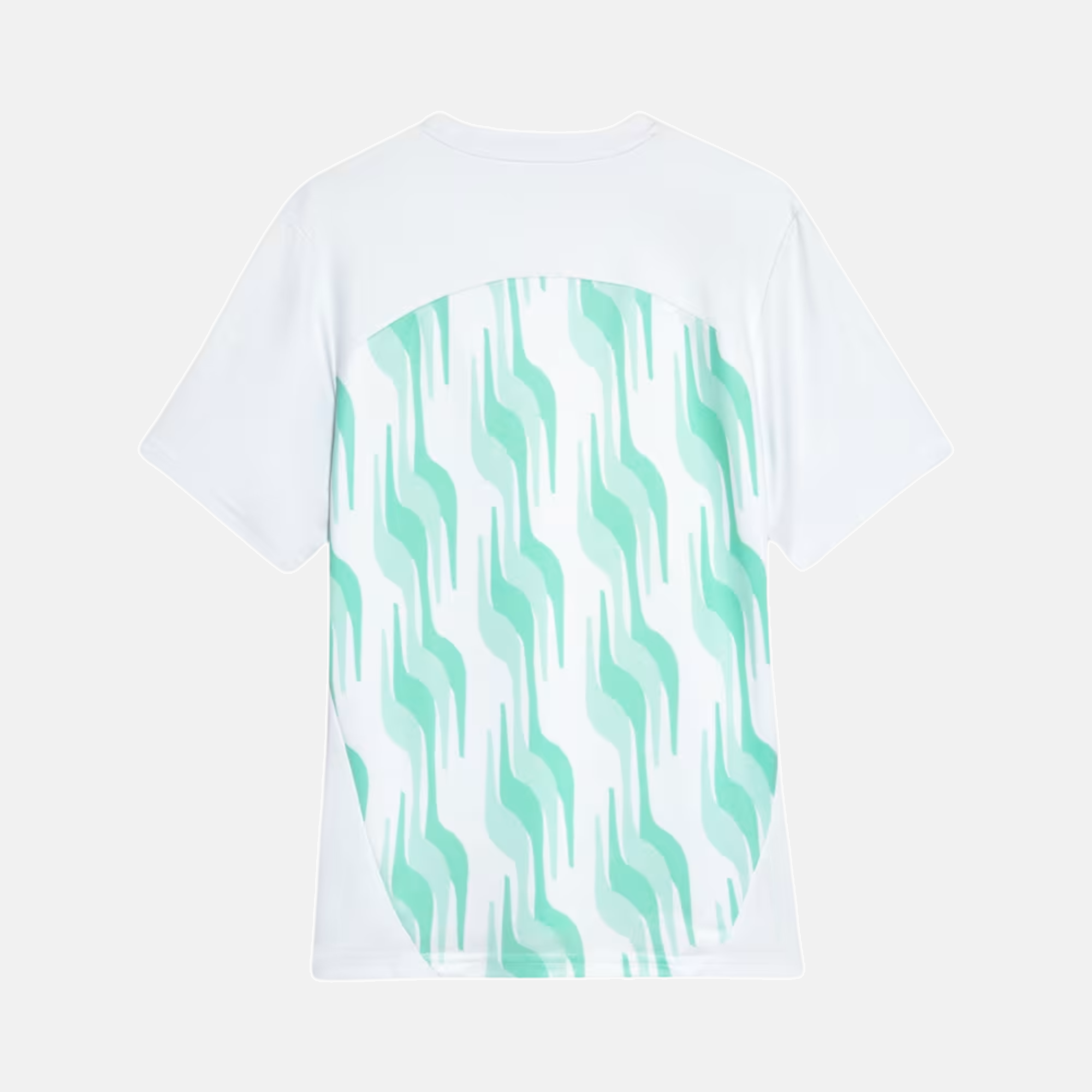 Camisa Puma Palmeiras 2025/26 Pré-Jogo