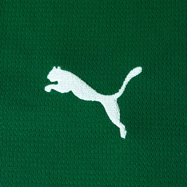 Conjunto Infantil Palmeiras 2026/27 I - imagem 12