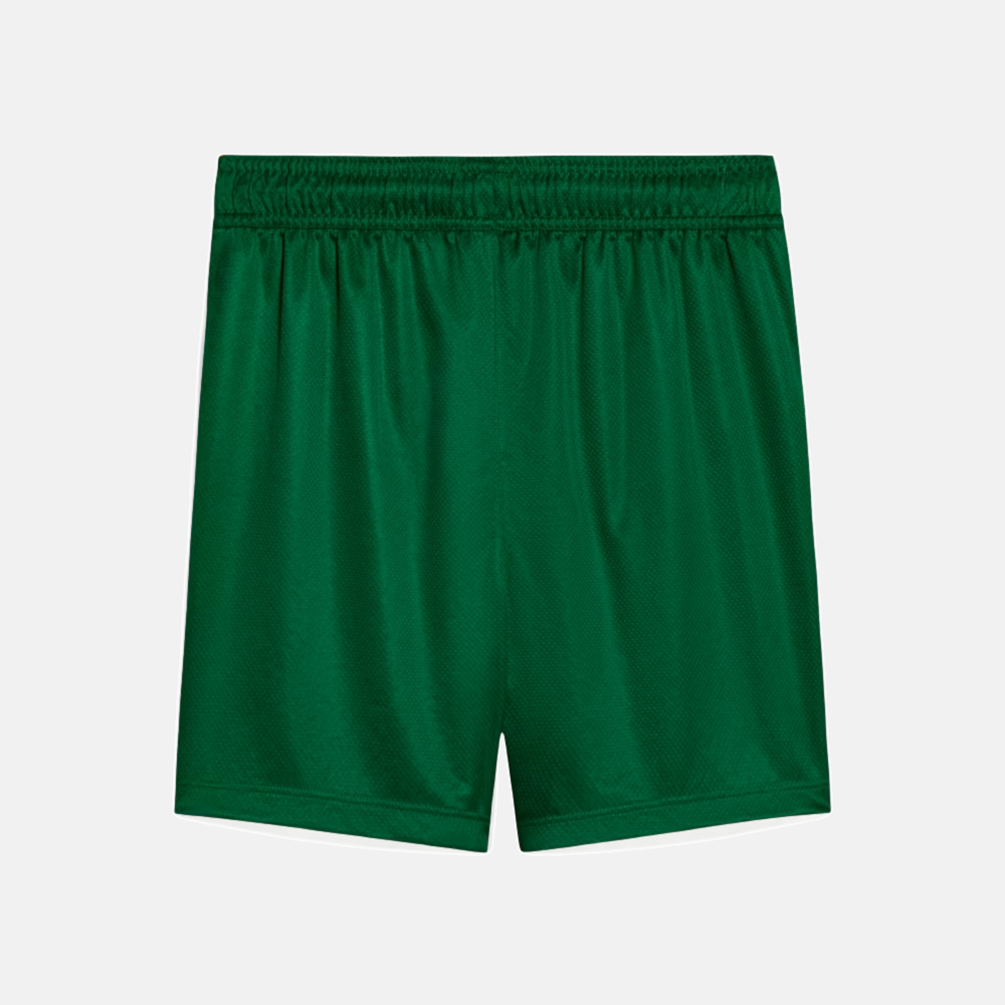 Shorts Palmeiras 2025 II – Torcedor