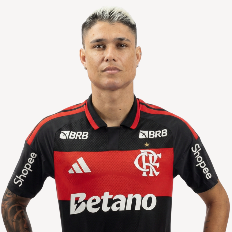 Luiz Araujo